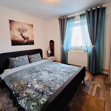 Hellen Studio Predeal Exteriér fotografie