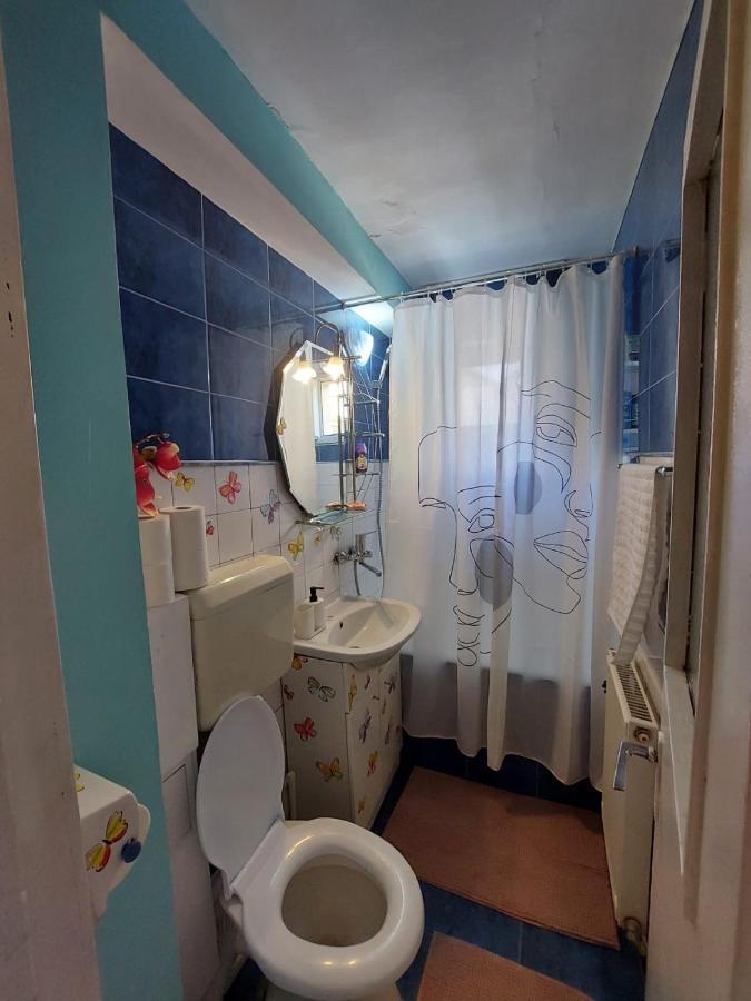 Hellen Studio Predeal Exteriér fotografie