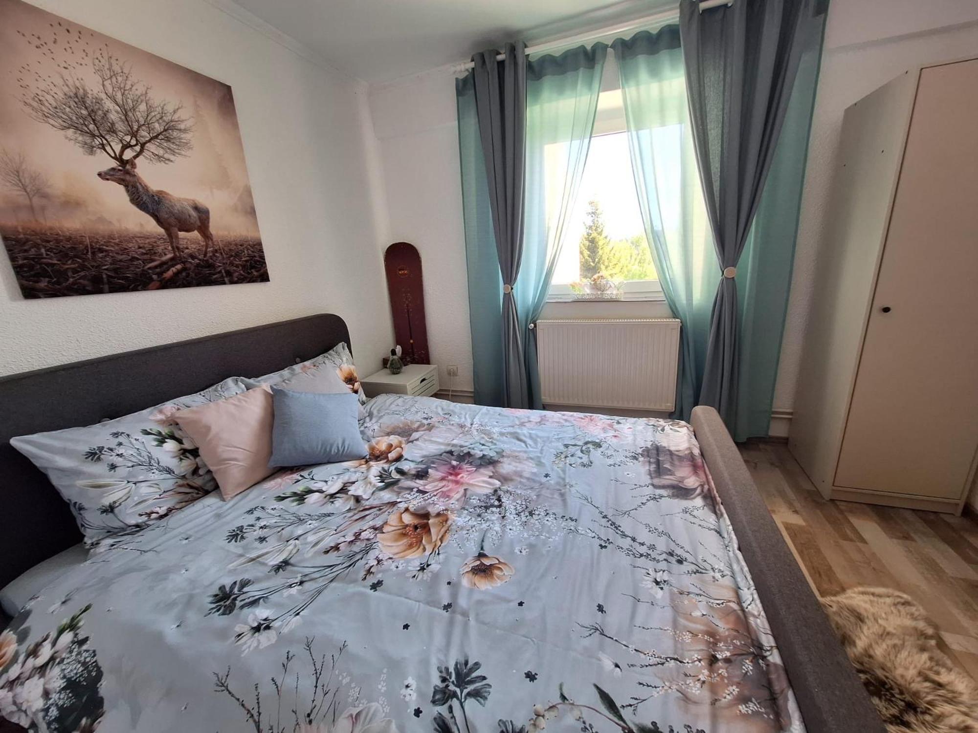 Hellen Studio Predeal Exteriér fotografie